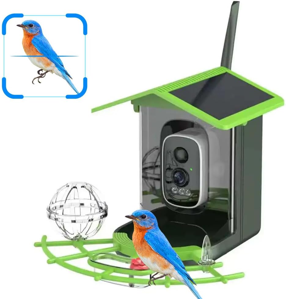 Real Time Bird watching WIFI A - مراجعة A1 Watches & Jewelry New York Photos وسعره