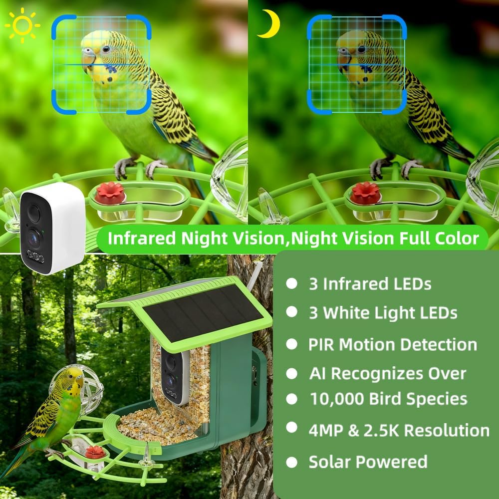 Real Time Bird watching WIFI A - مراجعة A1 Watches & Jewelry New York Photos وسعره