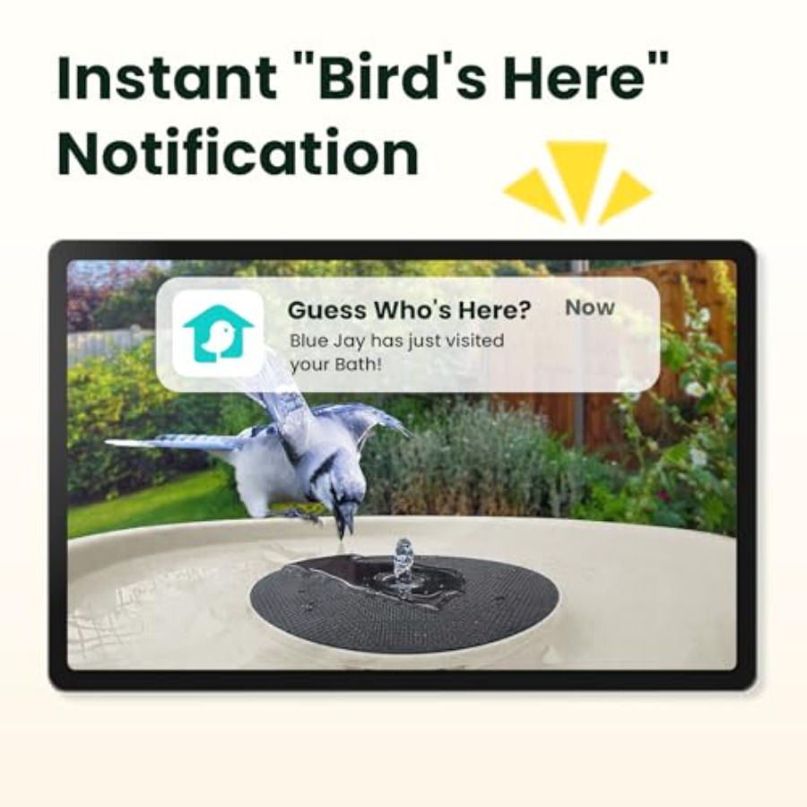 Bird Watching Smart Bird Bath  - مراجعة Watches & Jewelry Repair Center New York Reviews وسعره
