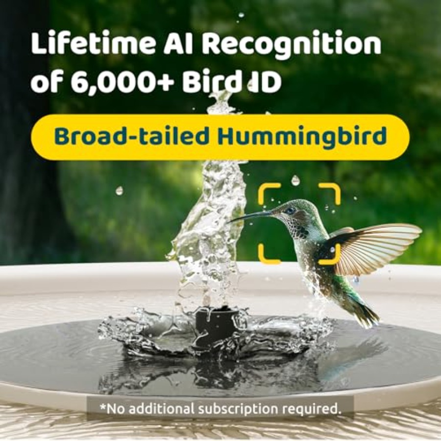 Bird Watching Smart Bird Bath  - مراجعة Watches & Jewelry Repair Center New York Reviews وسعره