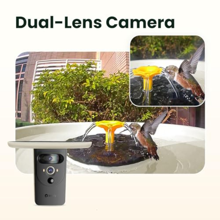 Bird Watching Smart Bird Bath  - مراجعة Watches & Jewelry Repair Center New York Reviews وسعره