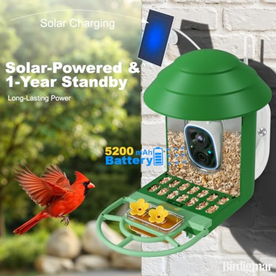 Bird Feeder with Camera for Ou - مراجعة Watches & Jewelry Repair Center New York Reviews وسعره